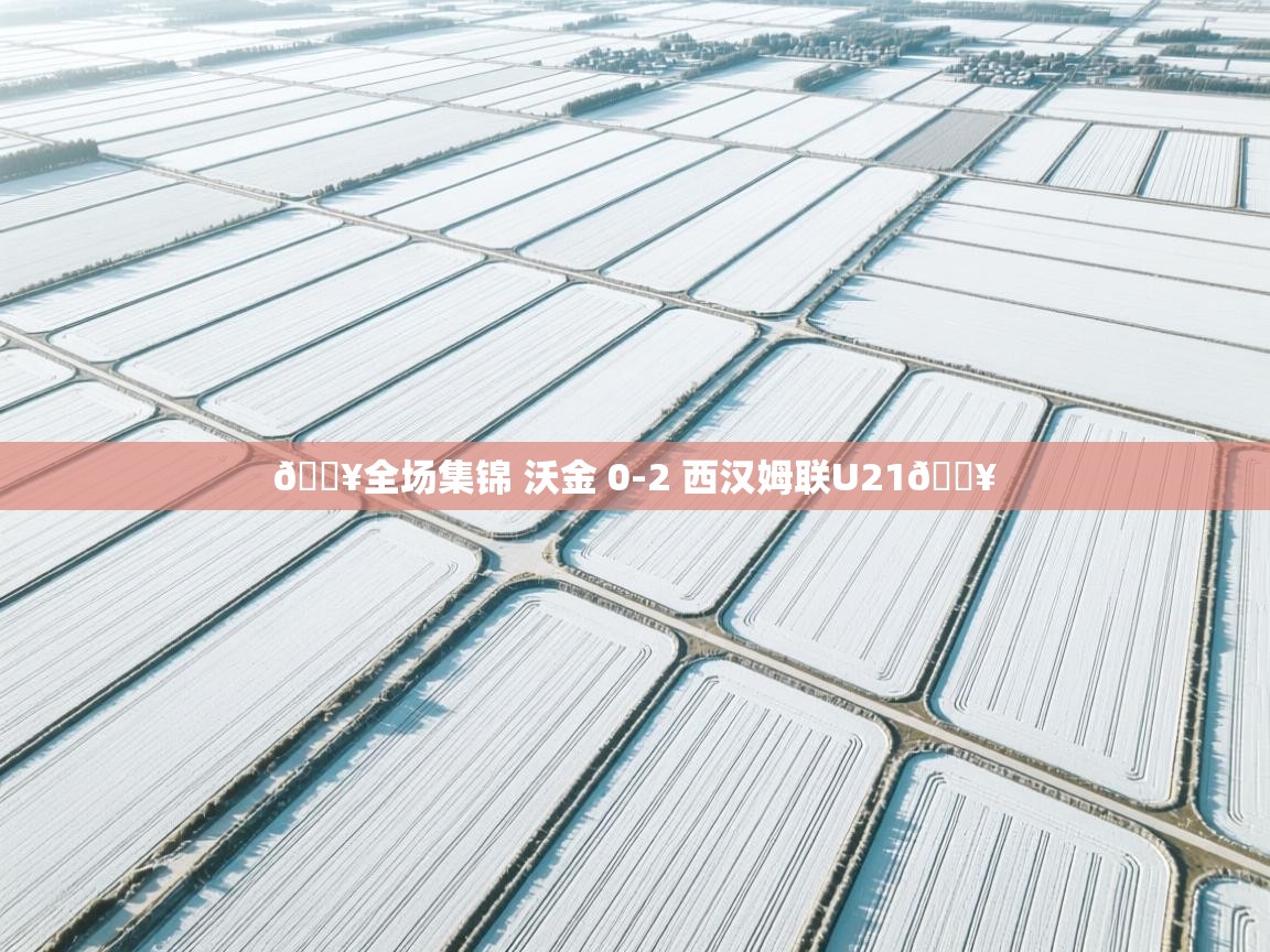 开云体育客服在线咨询-🎥全场集锦 沃金 0-2 西汉姆联U21🔥  第1张