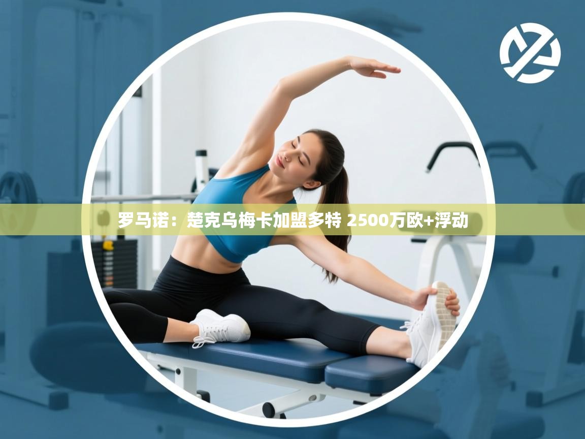 开云官网-罗马诺:楚克乌梅卡加盟多特 2500万欧+浮动 第2张