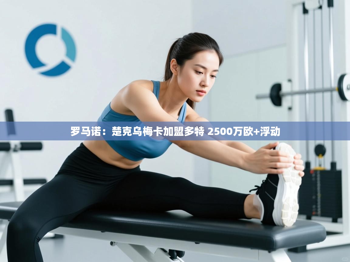 开云官网-罗马诺:楚克乌梅卡加盟多特 2500万欧+浮动 第4张