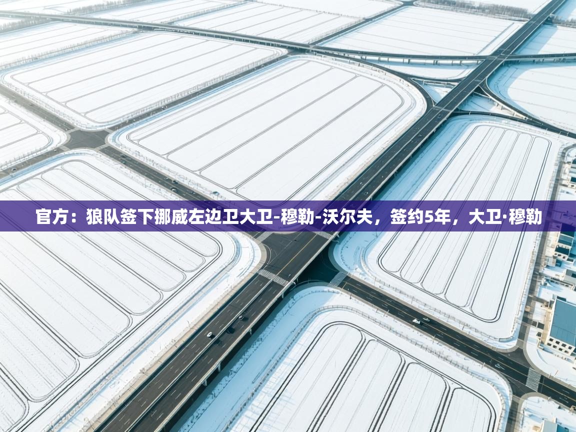 开云体育视频直播低延迟-官方:狼队签下挪威左边卫大卫-穆勒-沃尔夫,签约5年,大卫·穆勒 第1张