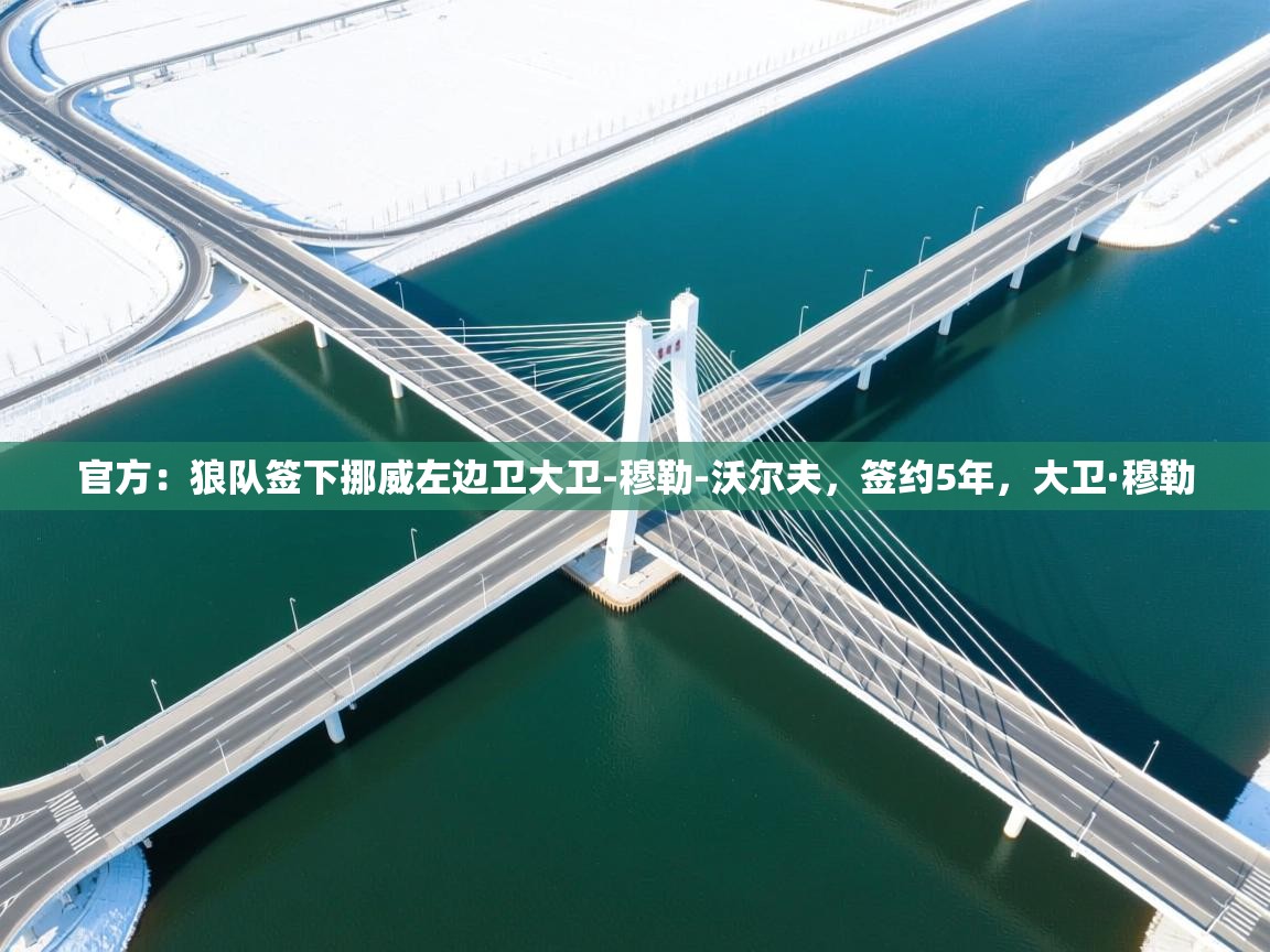 开云体育视频直播低延迟-官方:狼队签下挪威左边卫大卫-穆勒-沃尔夫,签约5年,大卫·穆勒 第3张