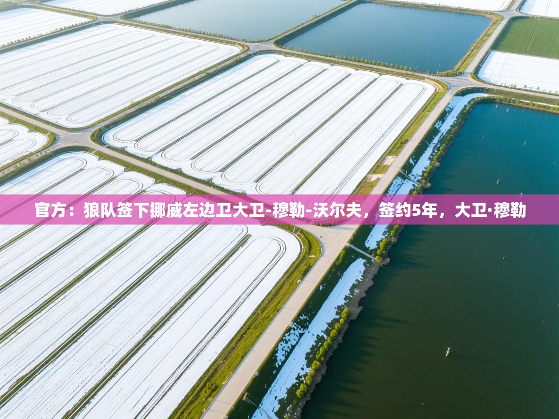 开云体育视频直播低延迟-官方:狼队签下挪威左边卫大卫-穆勒-沃尔夫,签约5年,大卫·穆勒 第2张