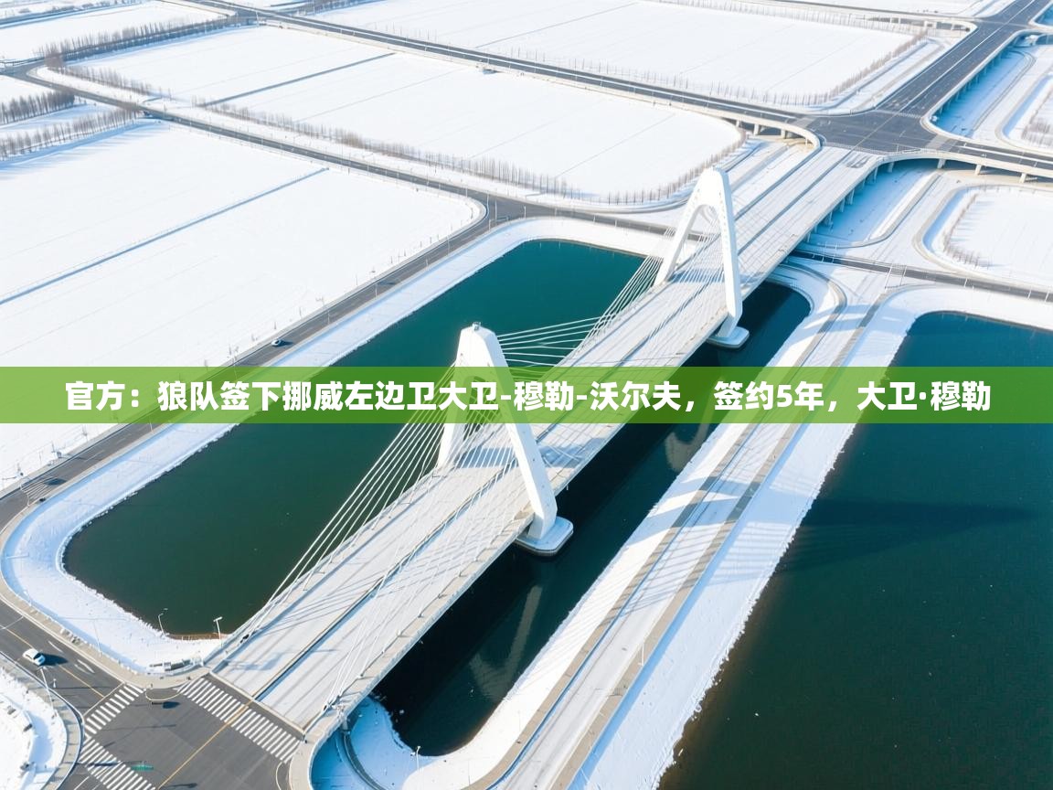 开云体育视频直播低延迟-官方:狼队签下挪威左边卫大卫-穆勒-沃尔夫,签约5年,大卫·穆勒 第4张