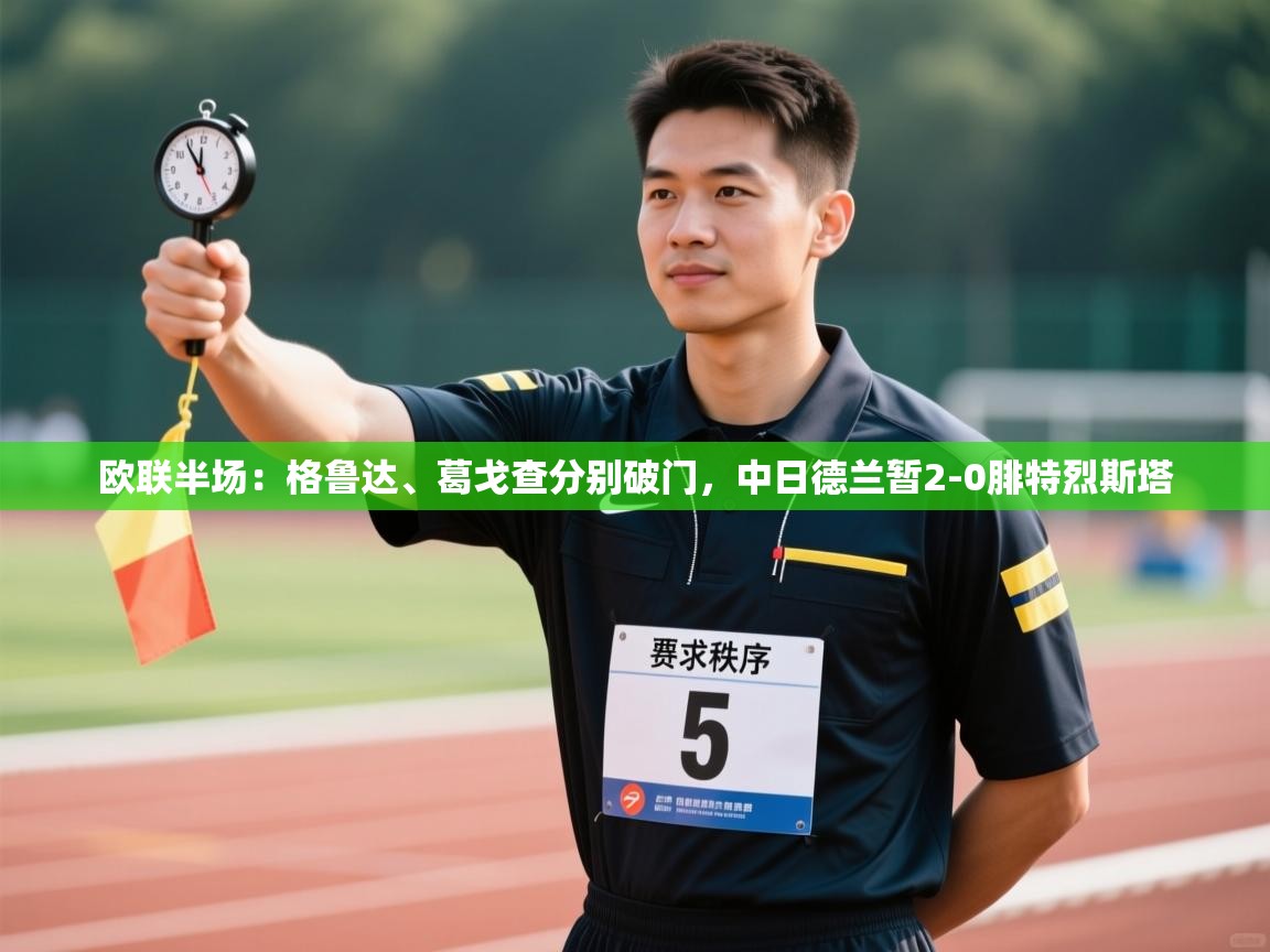 开云数据-欧联半场：格鲁达、葛戈查分别破门，中日德兰暂2-0腓特烈斯塔  第4张