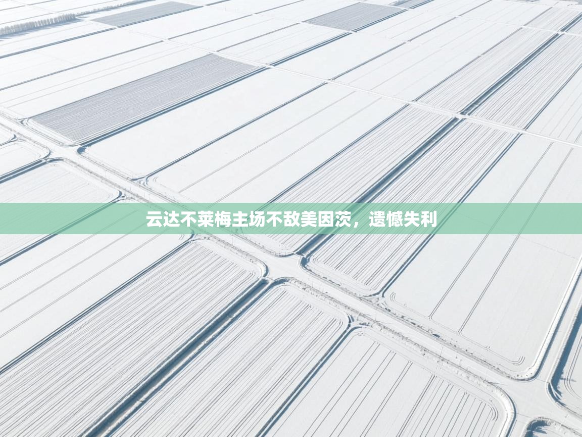 云开体育官网登录入口-云达不莱梅主场不敌美因茨，遗憾失利  第4张