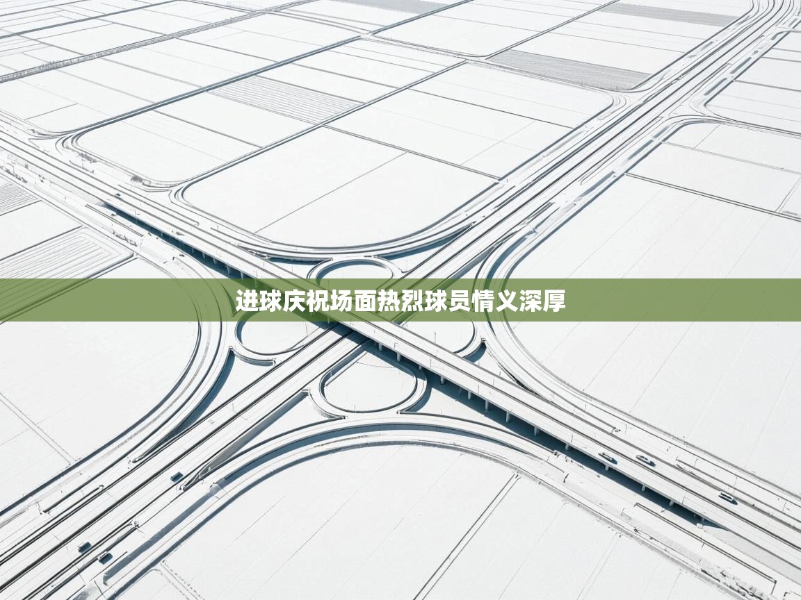 开云体育无法登录解决方案-进球庆祝场面热烈球员情义深厚  第2张