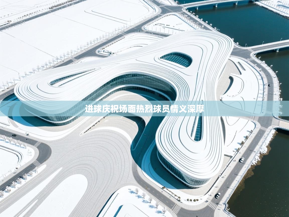 开云体育无法登录解决方案-进球庆祝场面热烈球员情义深厚  第1张