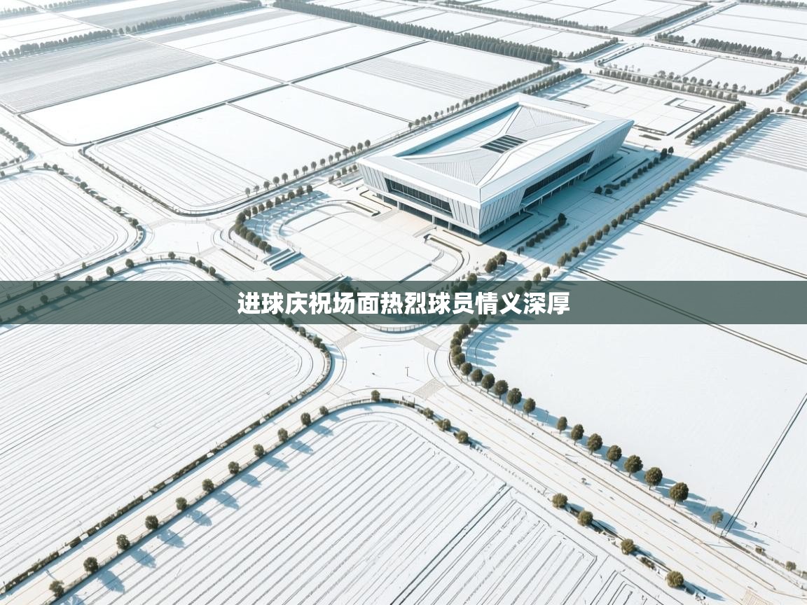 开云体育无法登录解决方案-进球庆祝场面热烈球员情义深厚  第4张