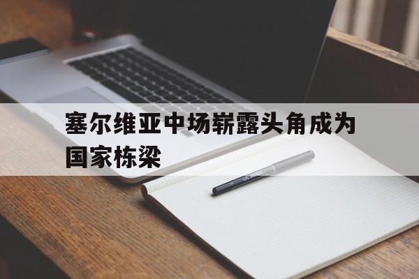 开运体育登录-塞尔维亚中场崭露头角成为国家栋梁的简单介绍