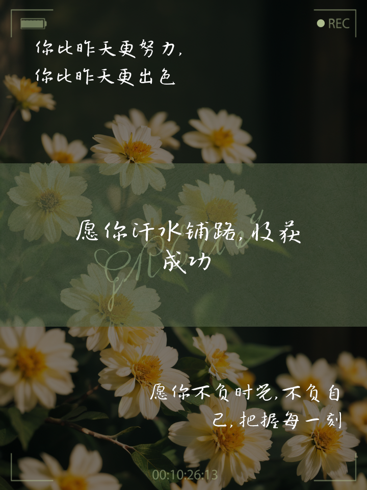 砥砺奋进乘风破浪，超越自我勇攀高峰